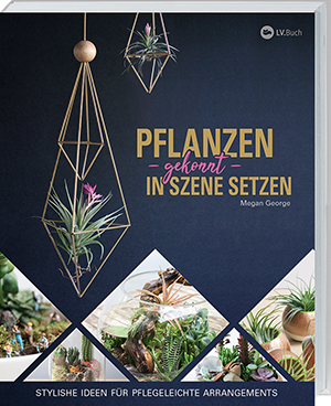 pflanzen gekonnt In szene setzen klein