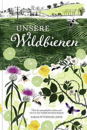 unsere wildbienen klein