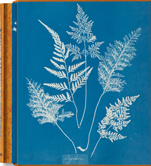 Anna Atkins Cyanotypes klein